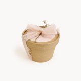 Mon Cheri wax melts in doosje Loesieloe